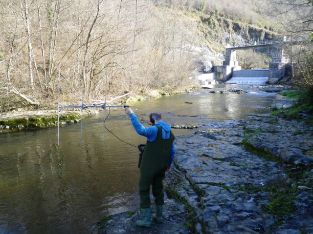 Ecología fluvial